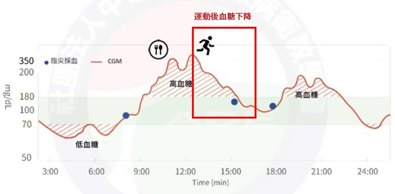 不同生活型態的血糖反應